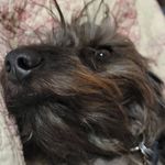 Jack Bigelow - @jack_bigelow136 - Instagram