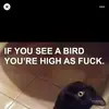 jackbillings67 - @jackbillings67 - TikTok