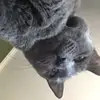 yfoguandk - @jackbillings73 - TikTok