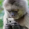 jackbirchall41 - @jackbirchall41 - TikTok