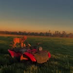 Jack Bish - @jack_bish0 - Instagram