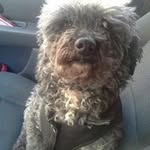 Wayne Doane - @jackbishop030 - Instagram