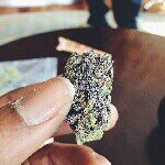 jackbitar - @jackbitar1 - Instagram