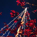 Jack Bjork - @jackofbjork - Instagram