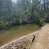 jackson blackhall - @jackson.blackhall - TikTok