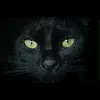 Black - @jackblackmann - TikTok