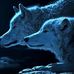 Jack Blaisdell - Facebook