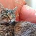Jack Blatchford - Facebook