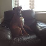 Jack_blatchford - @blatchfordjack73 - Instagram