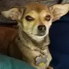 jackieblauvelt - @jackieblauvelt - TikTok
