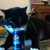 Jack Blaylock - @jack.blaylock - TikTok