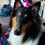 Jack Bleck - @katzenheld14 - Instagram