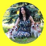 Ekateryna Zinkevych - @jack_russell_heavenly_blessing - Instagram