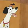 jack_blondin - @jack_blondin - TikTok