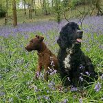 @jackblowers - Instagram