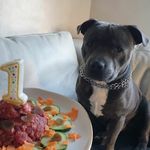 Jack Blue - @jack.blue_daniels.gentleman - Instagram