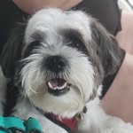 Jack - @jackblue305 - Instagram