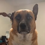 Jack Bly - @jackbly_ - Instagram
