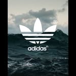 Jack Blyth - @blyth.jack - Instagram