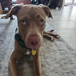 Jack blythe - @blythejack50 - Instagram