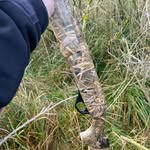 Jack blythe white - @jackblythewhite - Instagram