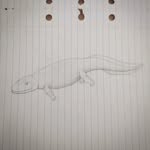 Jack Boase - @jack__boase - Instagram