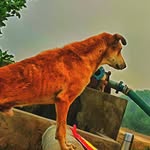 my chhote bai raja - @jack.boas_03 - Instagram