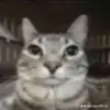 jackbob - @jackbob310 - TikTok