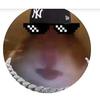 jack&Bobby12 - @jackbobby_ - TikTok