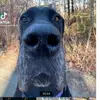 user4964875898900 - @jackbock08 - TikTok