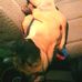 Jack Bodden - Facebook