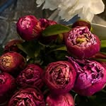 Michelle - @_j_ackboehm - Instagram