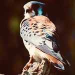 Jack Boeve - @boevejack - Instagram