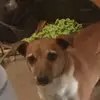 jack Baggio - @jåck_doggyxx - TikTok