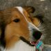 Jack Basaglia Boggio - Facebook