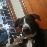 Jack Bolen - @bolenjack0420 - Instagram
