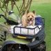 Jack Boler - Facebook