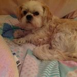 Jack - @jack_boler - Instagram