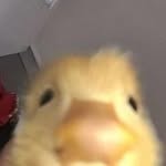 Jack Bosman - @hey_jack_bosman - Instagram