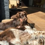 jack en bobby Bosman - @bob.jackbosmannn - Instagram
