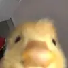 JackBosman - @jack_bosmanlz - TikTok