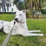 jack_boss - @jack_boss01 - Instagram