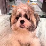 Jack - @jackboss_420 - Instagram