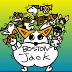 BOSTON JACK - @boston_jack_2021 - Instagram