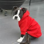 Jack Boston - @yosoyjackboston - Instagram