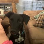 Colby Jack Bostwick - @colbyjackbostwick - Instagram