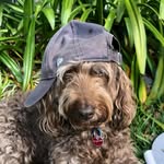Jack Boswell - @jackb.33 - Instagram