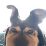 Jack Boucher - @jack_lebourbon - Instagram