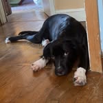 Jack Boucher - @jackboucher09 - Instagram