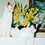Jackie Bouldin - @bouldingirl - Instagram
